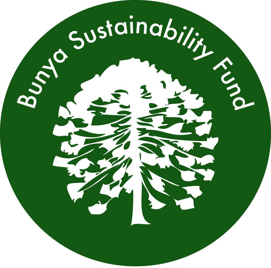 Bunya Sustainability Fund Logo Wordpressit Loretta Faulkner Design Concept