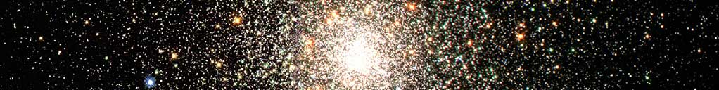 Wordpressit Website Design and Development Logos and Branding