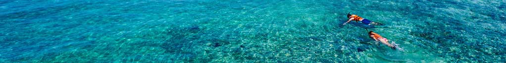 Wordpressit Web Design and Development Logos Graphic Design