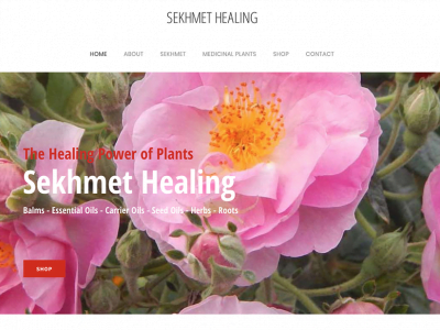 Sekhmet Healing Wordpressit Wordpress Design and Development