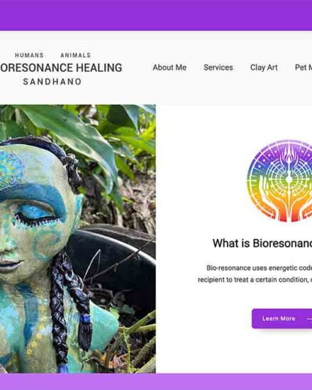 bioresonance healing wordpress website wordpressit.com.au Bangalow